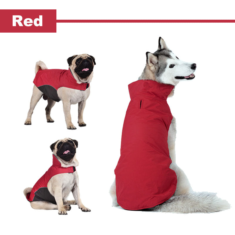 Medium And Large Dog Vest
