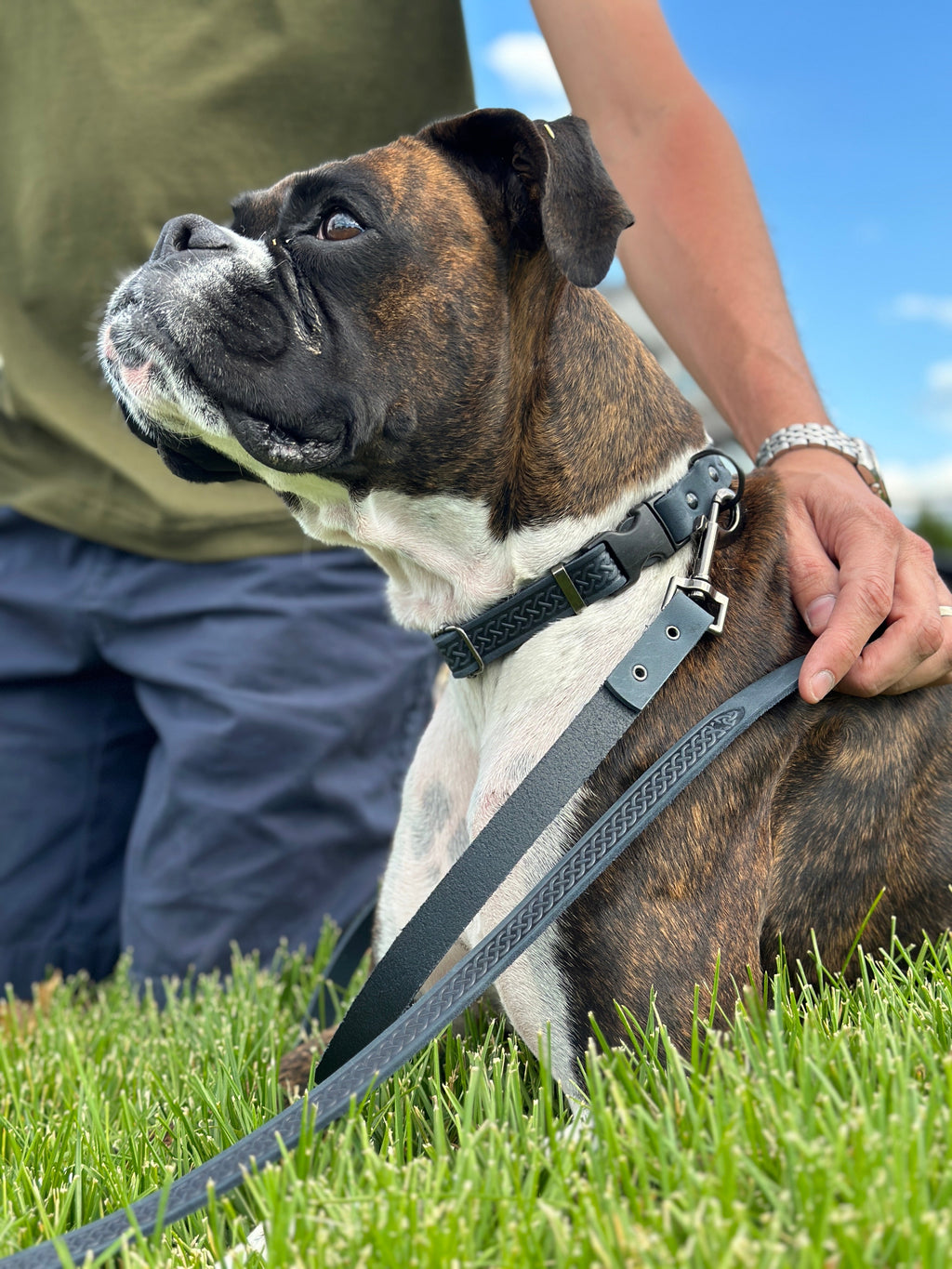 Leather Dog Leash