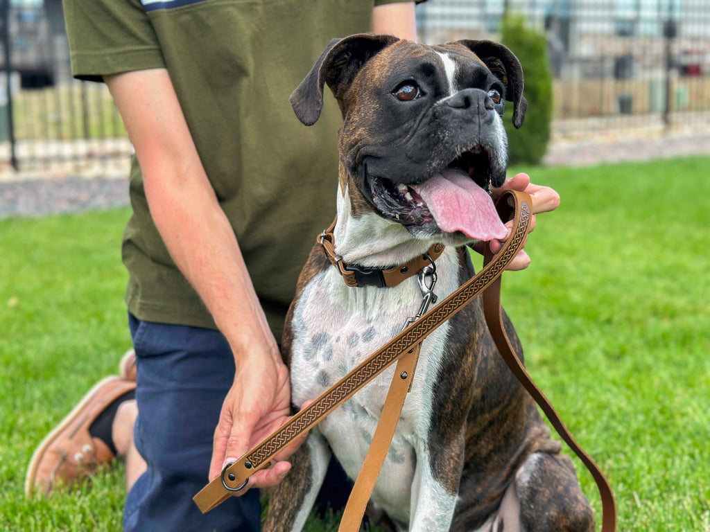 Leather Dog Leash