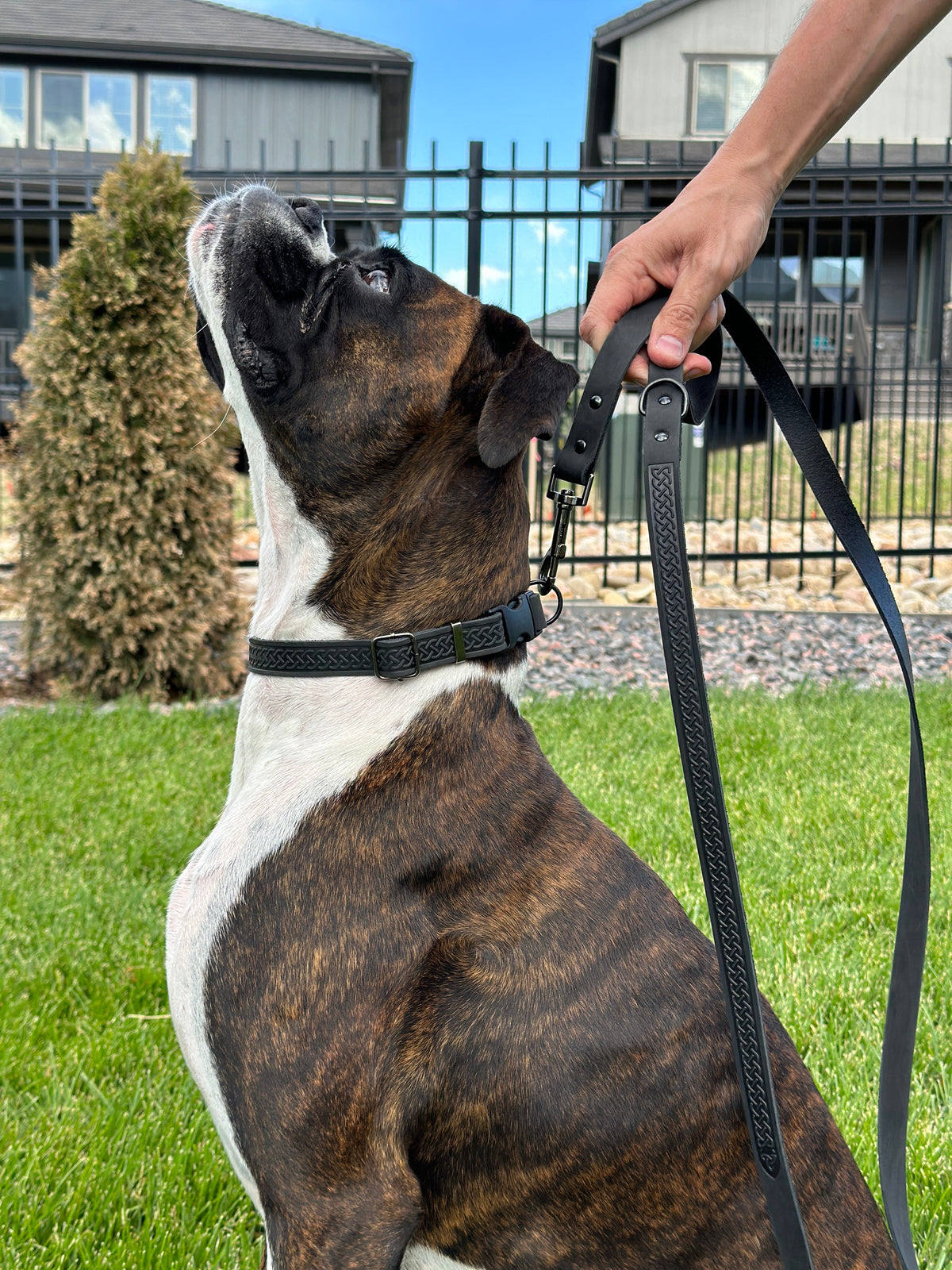 Leather Dog Leash