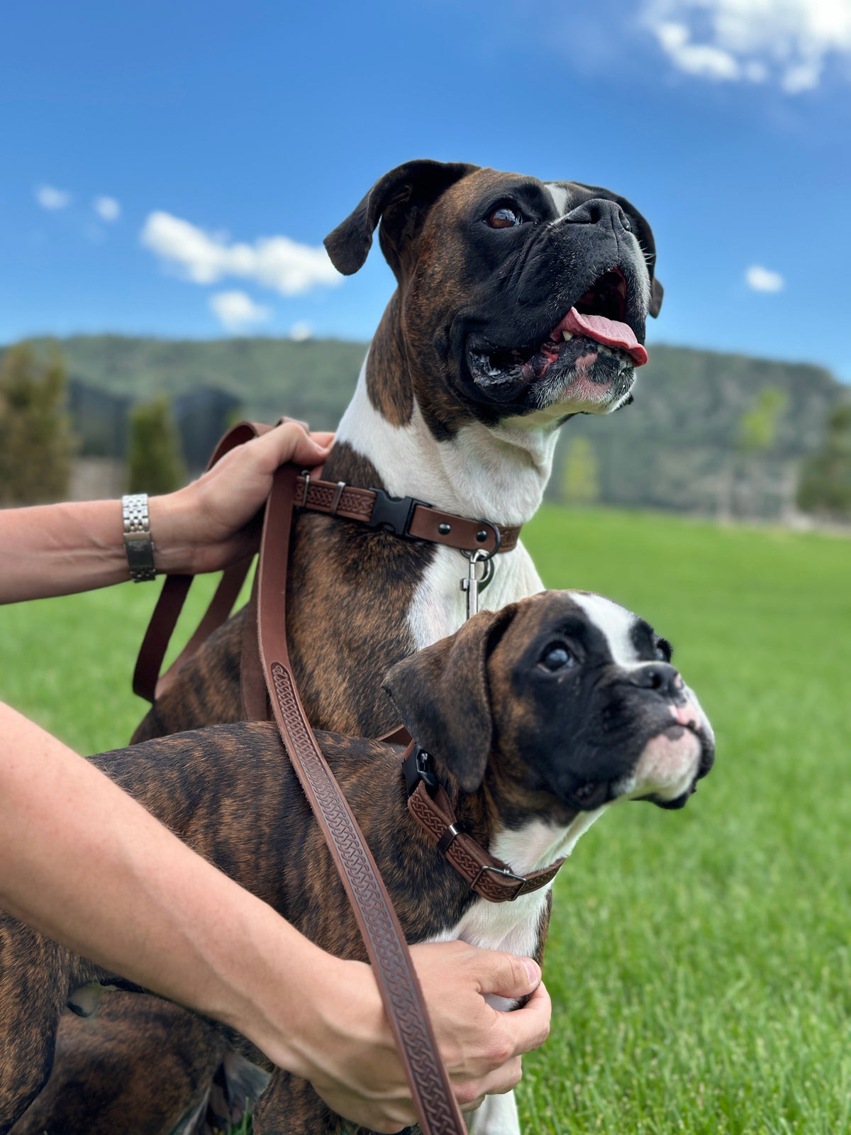 Leather Dog Leash