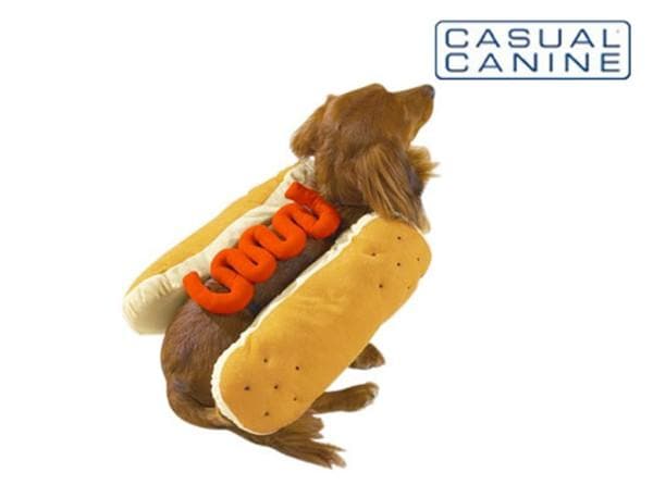 Hot Diggity Dog Costume