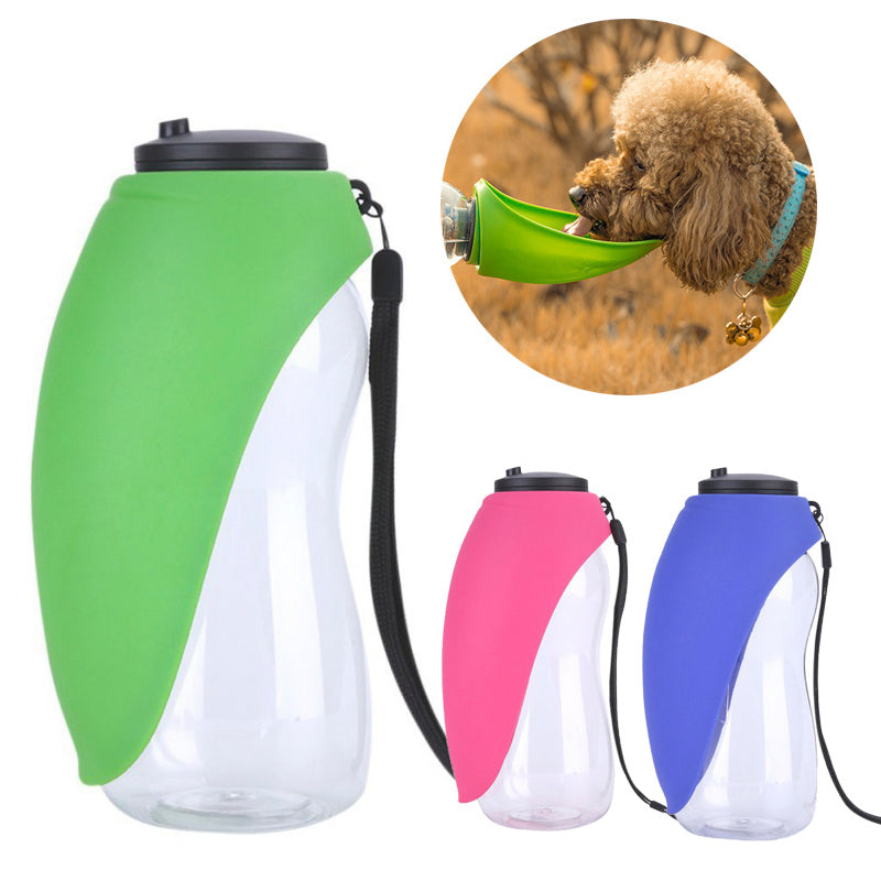 Portable Water Bottle and Bowl