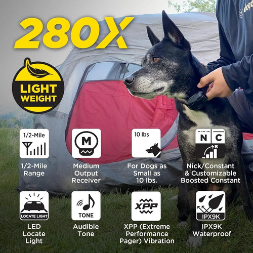 2 Dogs Training Collar Remote 1/2 Mile Waterproof