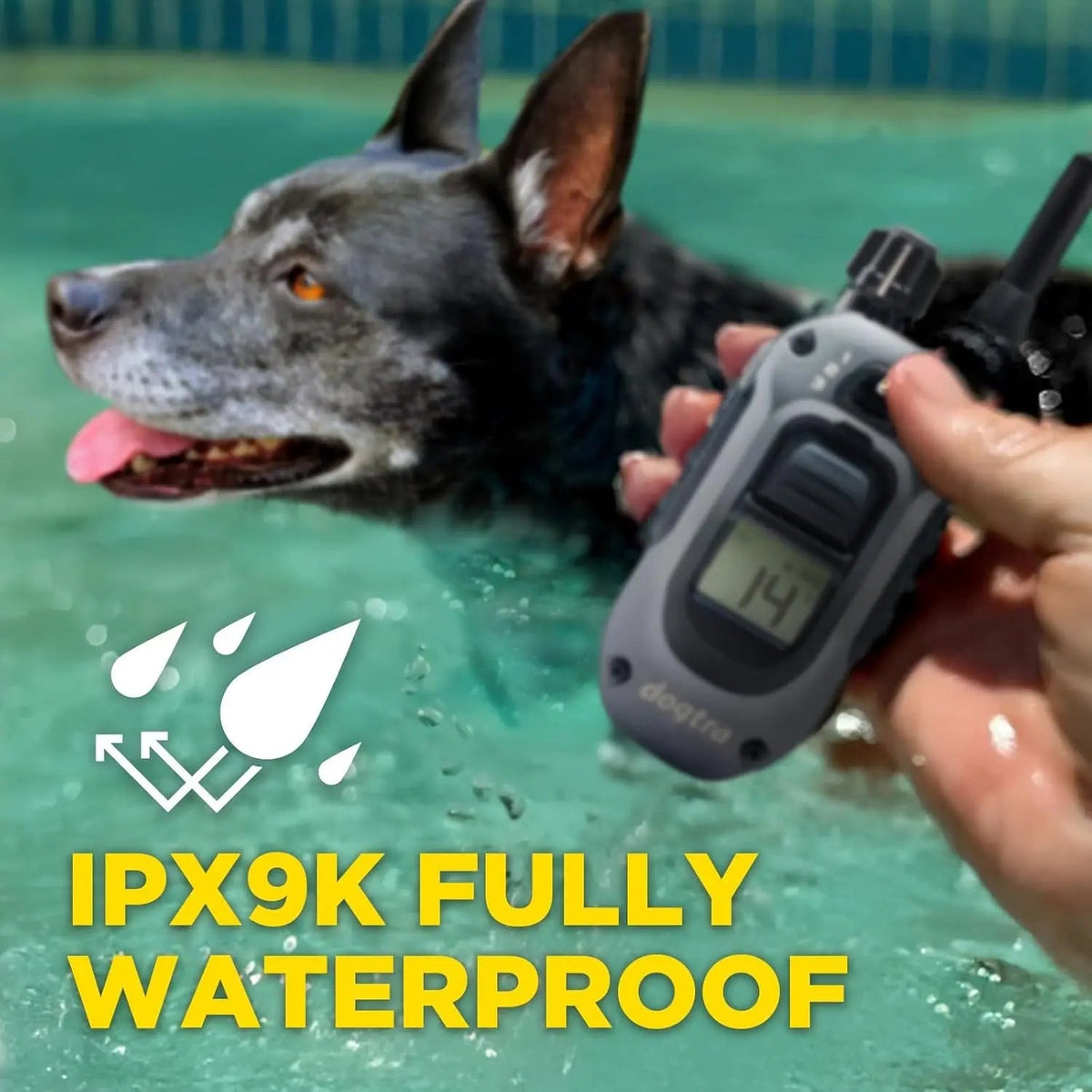 2 Dogs Training Collar Remote 1/2 Mile Waterproof