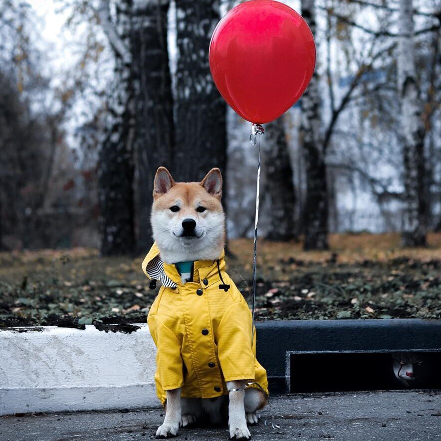 Raincoat