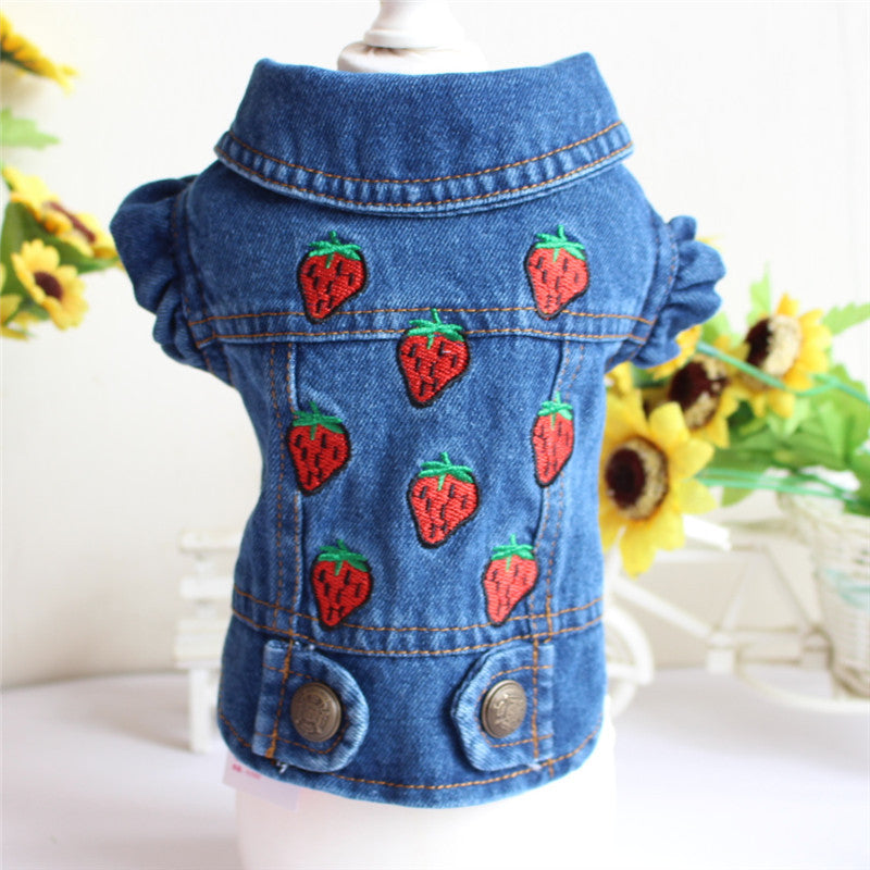 Designer Dog Clothes Small Dog