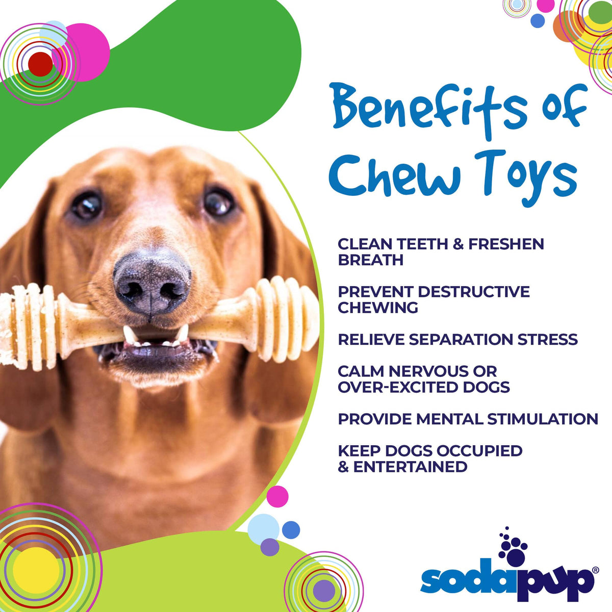 Nylon Dog Toy for Aggressive Chewers
