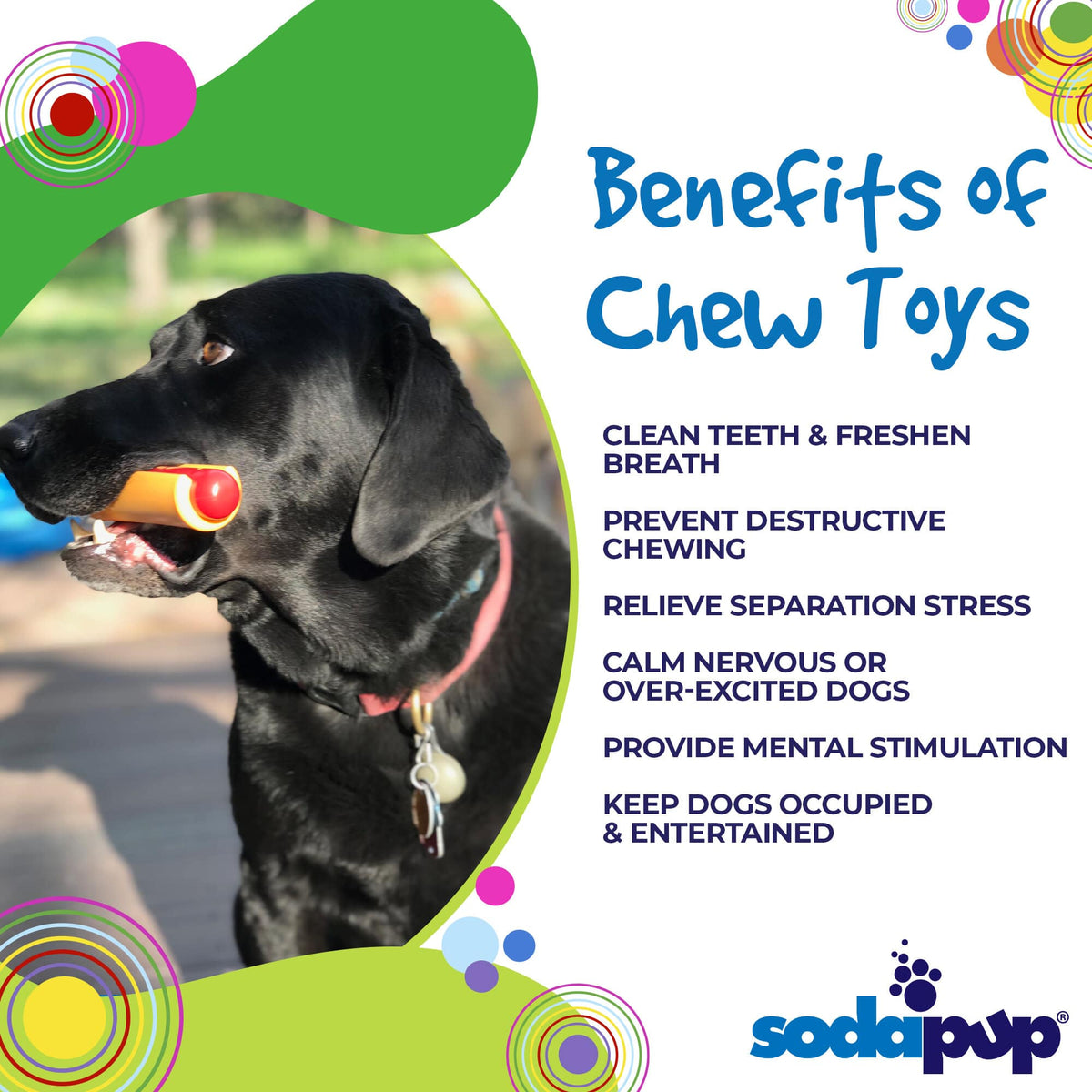 Hot Dog Nylon Dog Toy