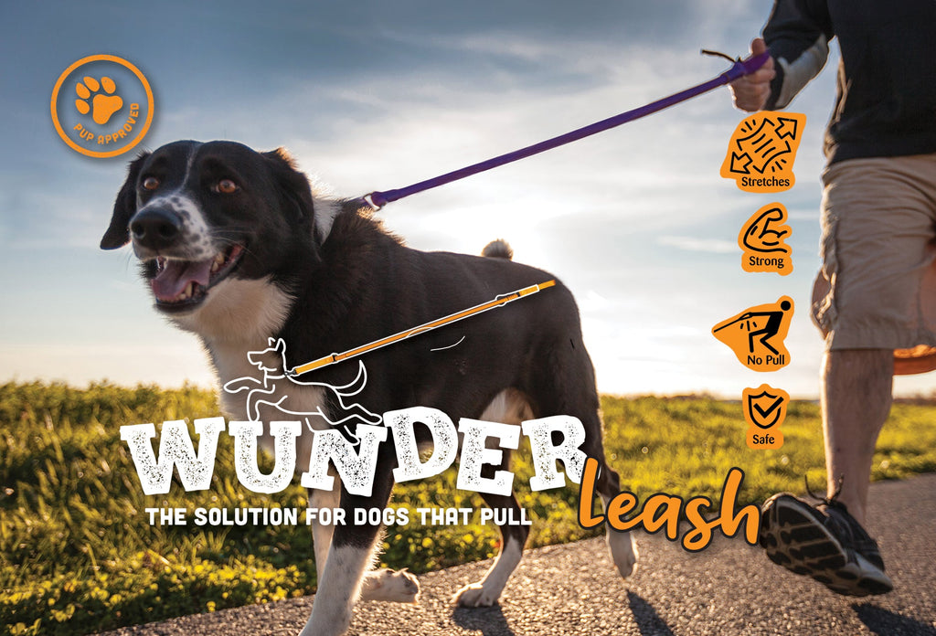 WUNDERleash – No-Pull Dog Leash