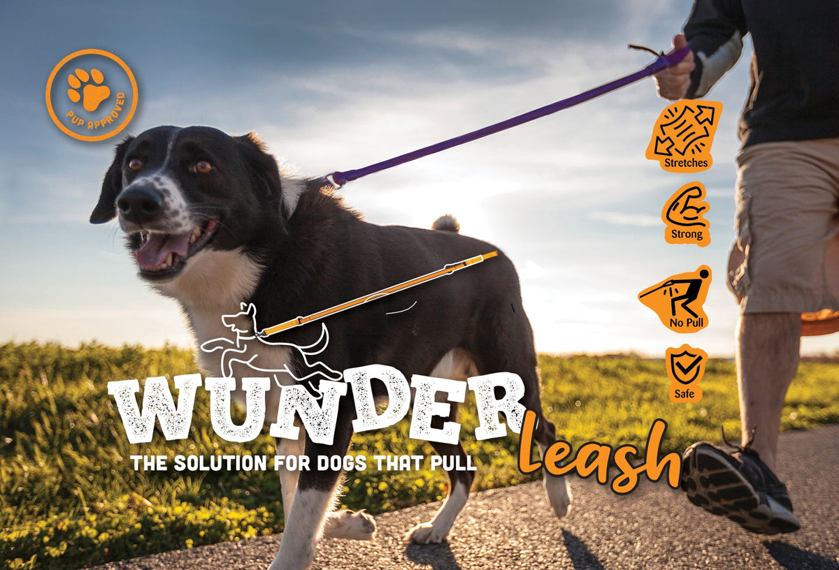 WUNDERleash – No-Pull Dog Leash