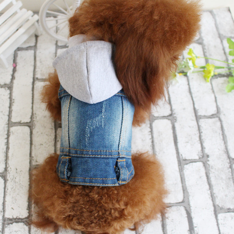 Designer Dog Clothes Small Dog
