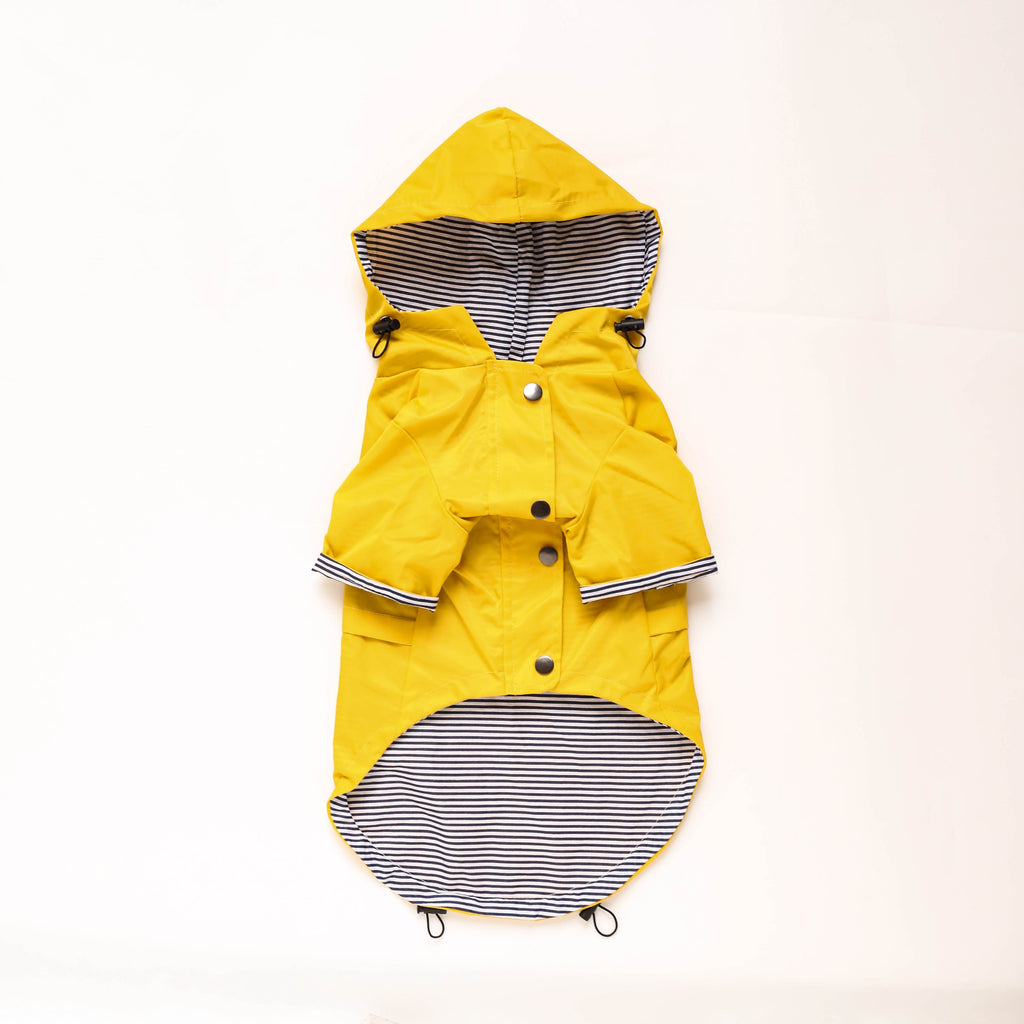 Raincoat
