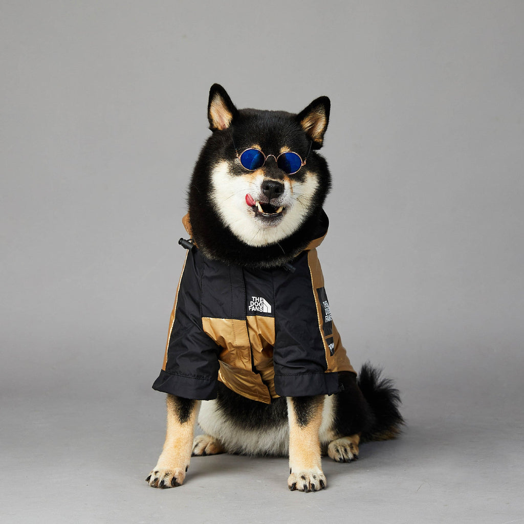 Windproof And Rainproof Dog Jacket