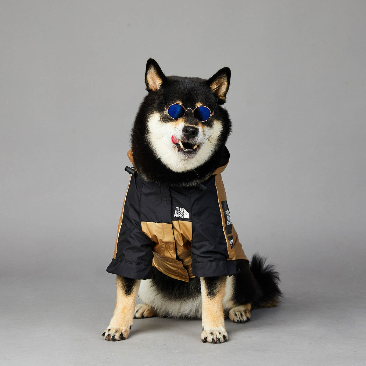 Windproof And Rainproof Dog Jacket
