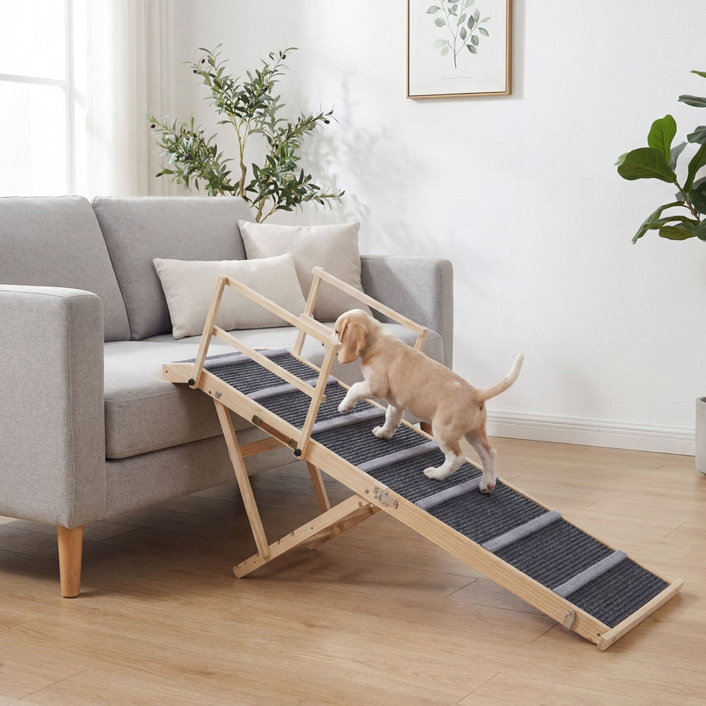 Folding Dog Ramp