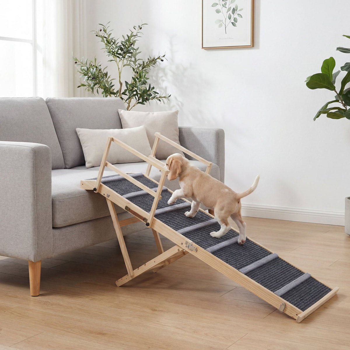 Folding Dog Ramp