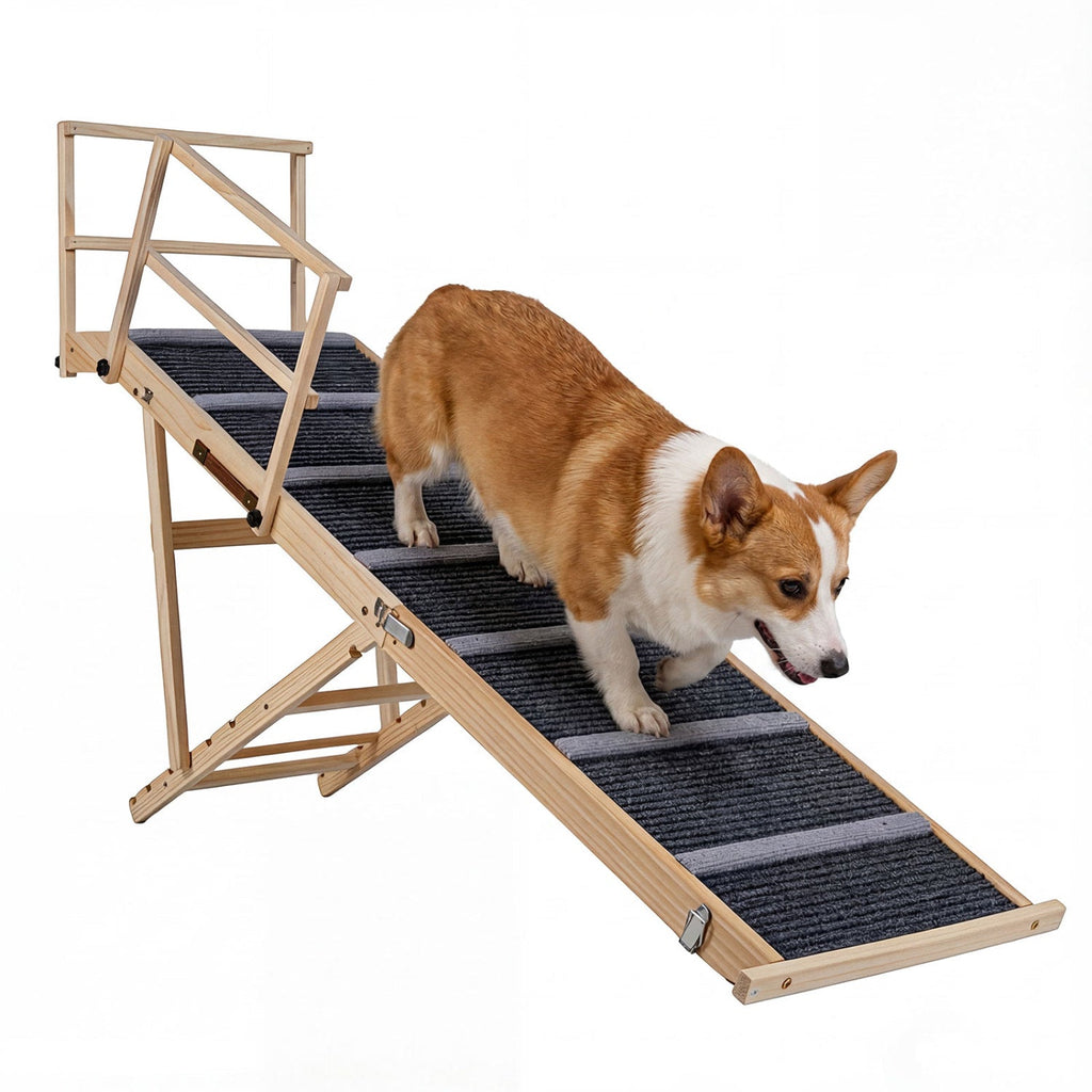 Folding Dog Ramp