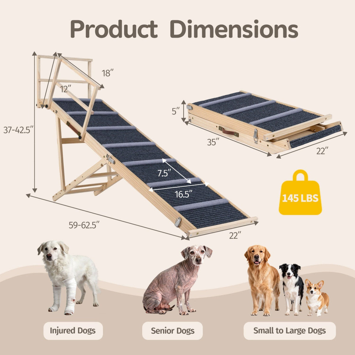 Folding Dog Ramp