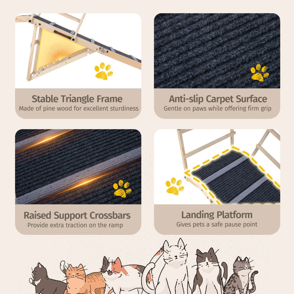 Folding Dog Ramp