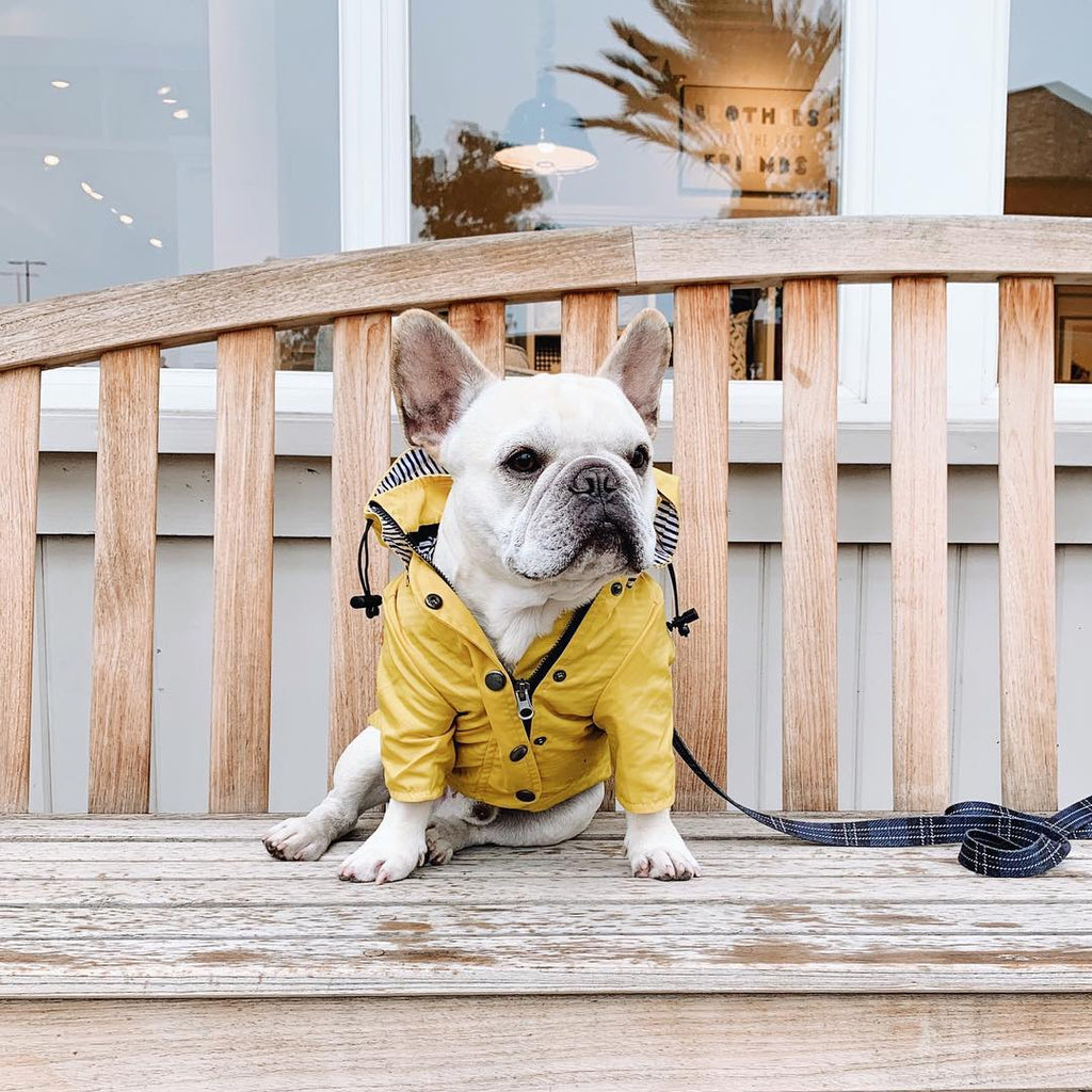 Raincoat
