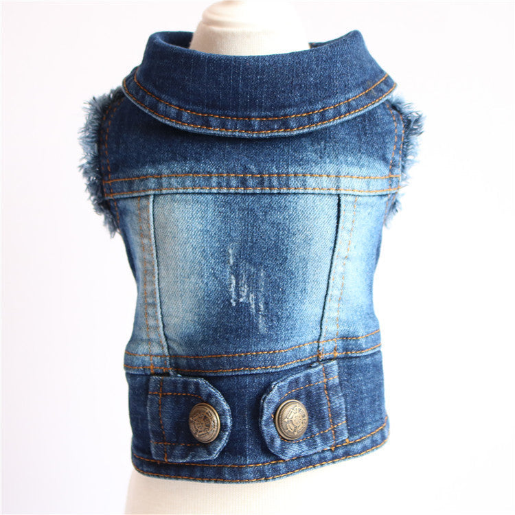 Designer Dog Clothes Small Dog