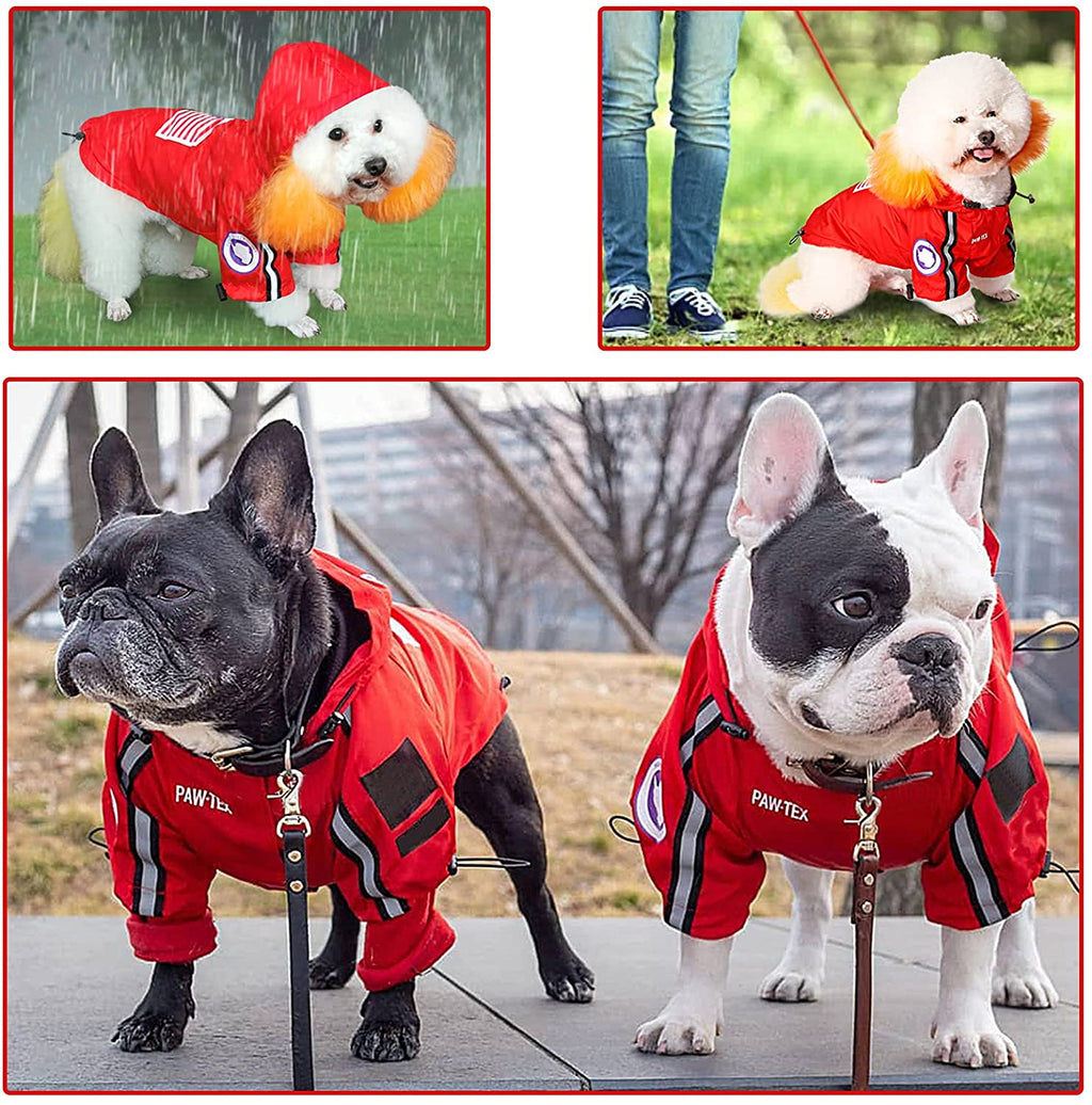 The Dog Face Raincoat