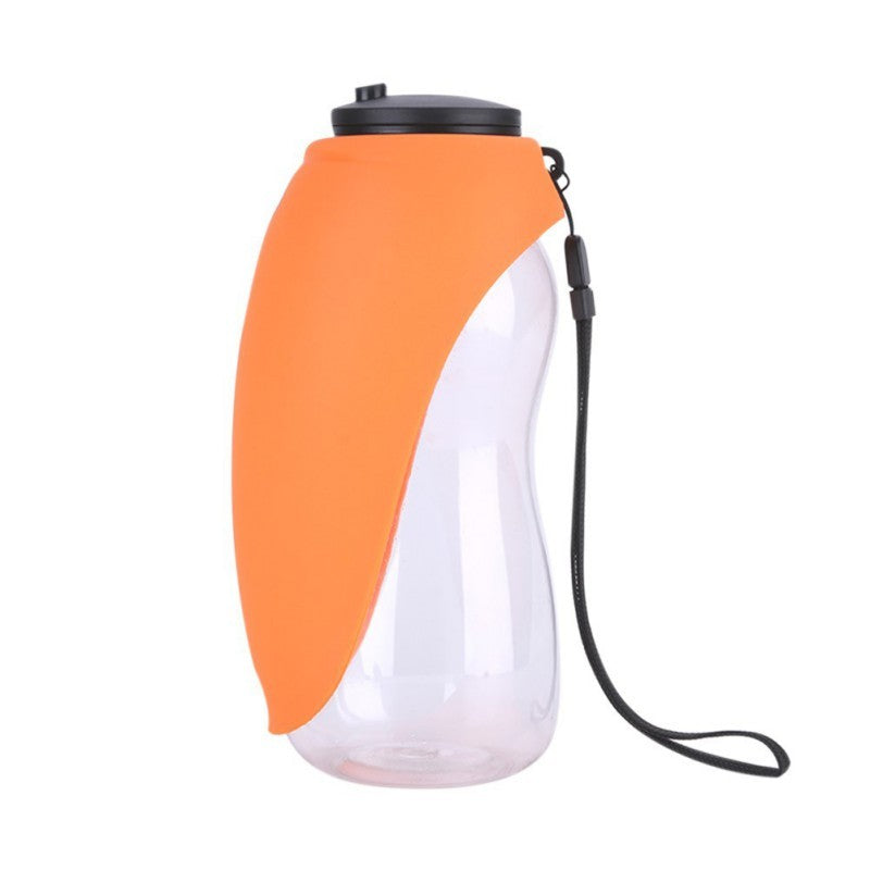Portable Water Bottle and Bowl