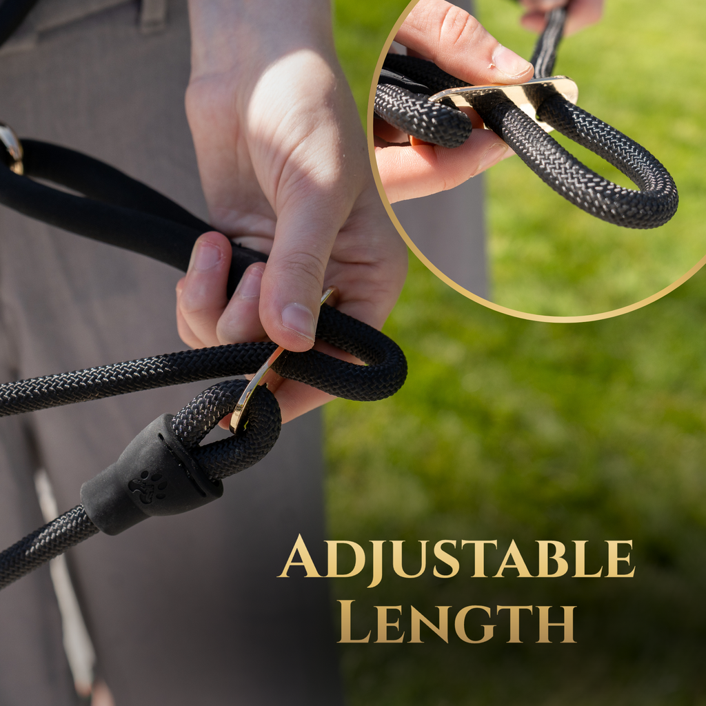 Calm Command No-Pull Leash
