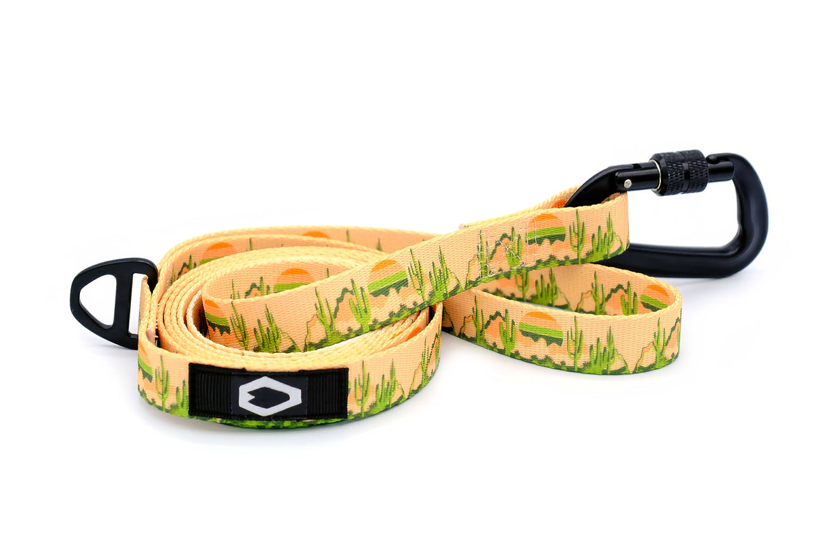 Nylon Dog Leash