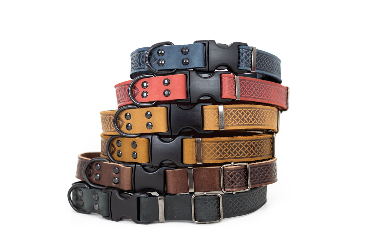 Quick-Release Leather Collar