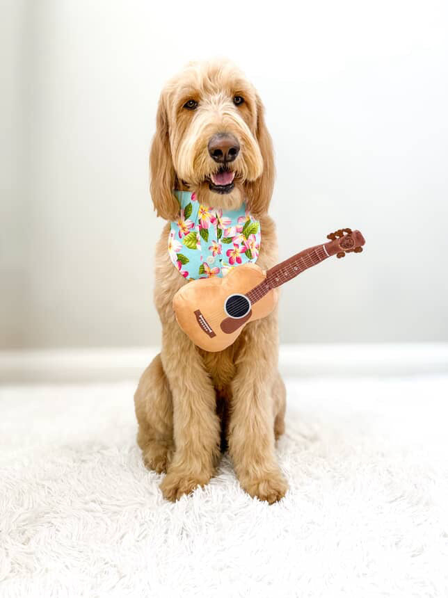 PUPROAR Guitar Dog Toy