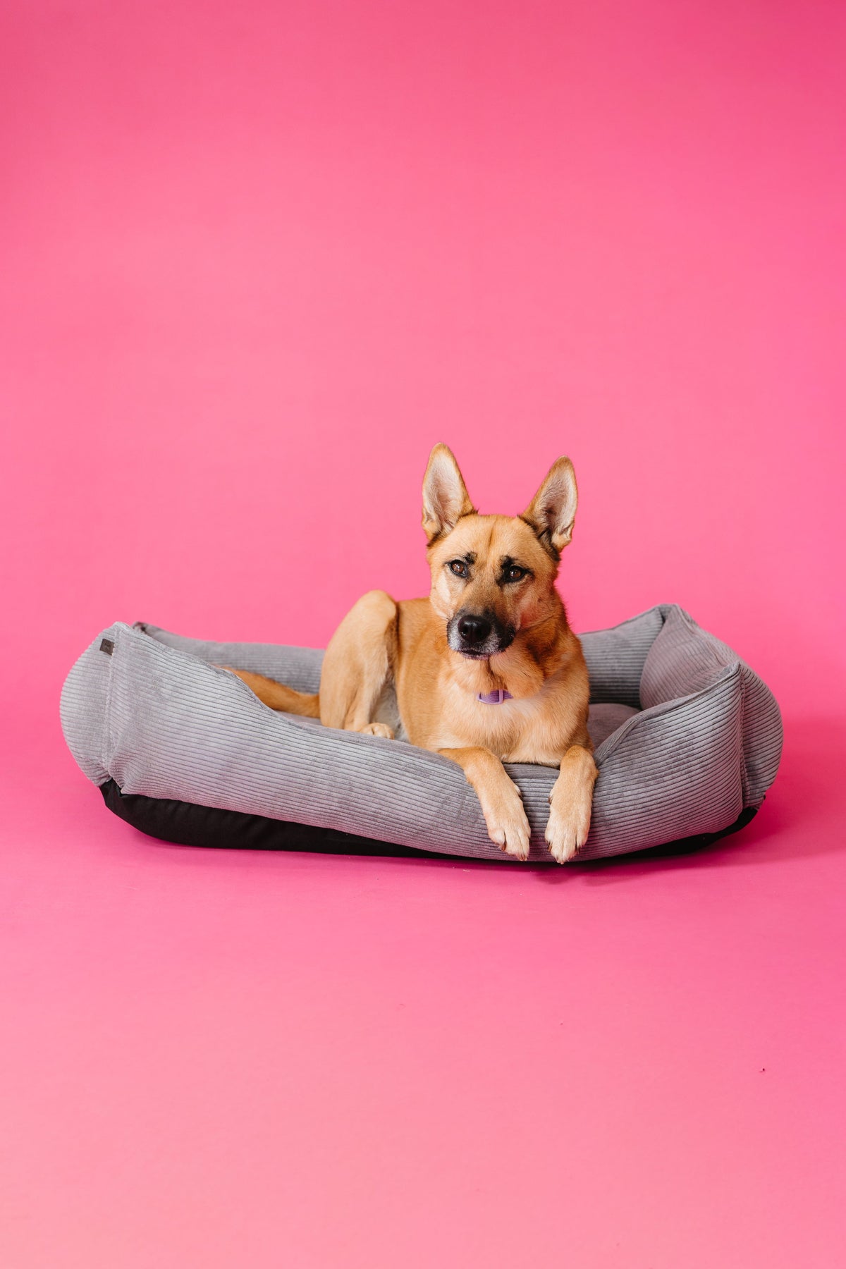 Fancy Corduroy Dog Bed