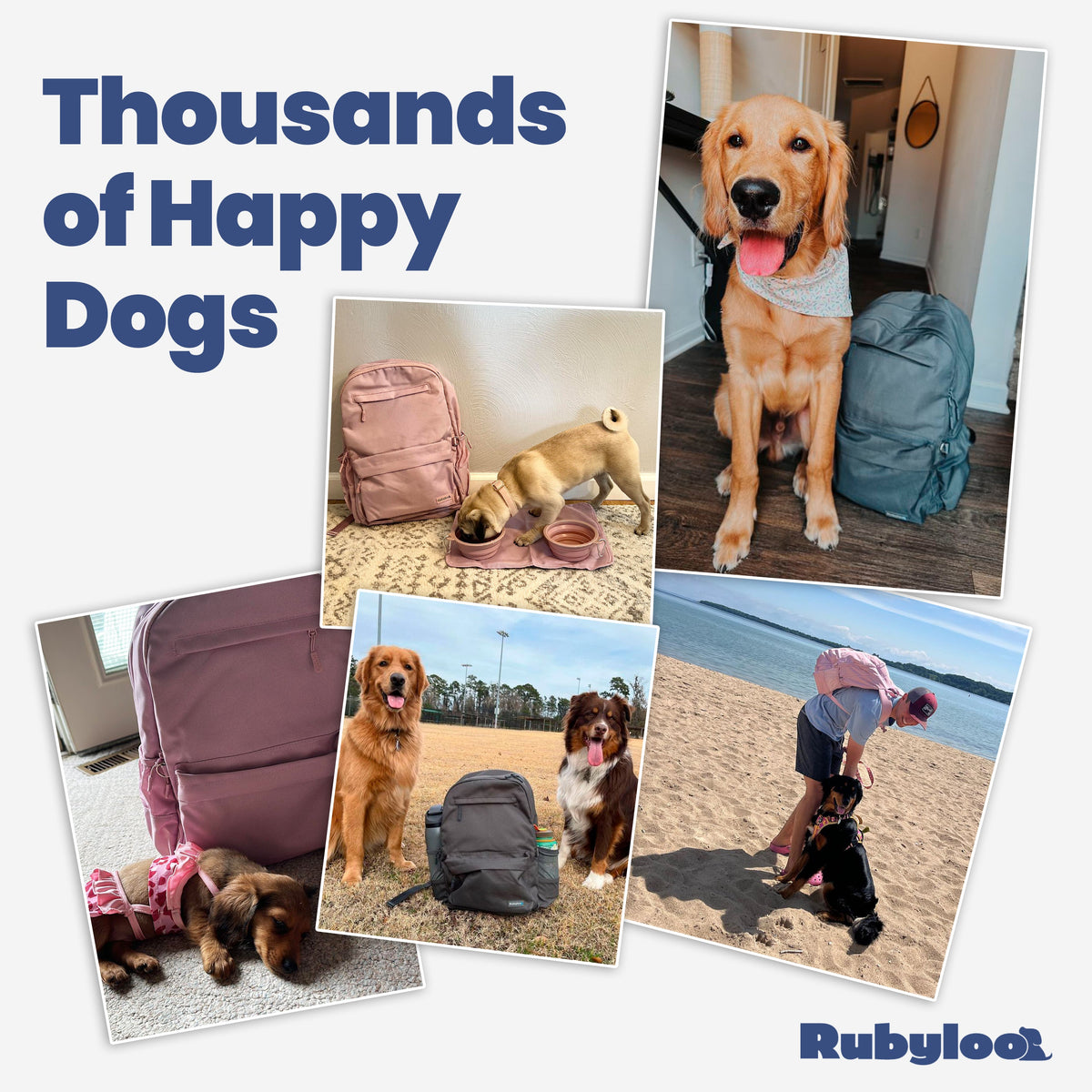 The Original Doggy Bag™