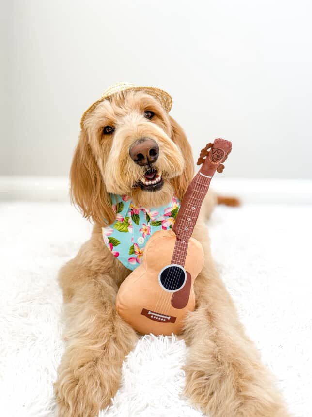 PUPROAR Guitar Dog Toy