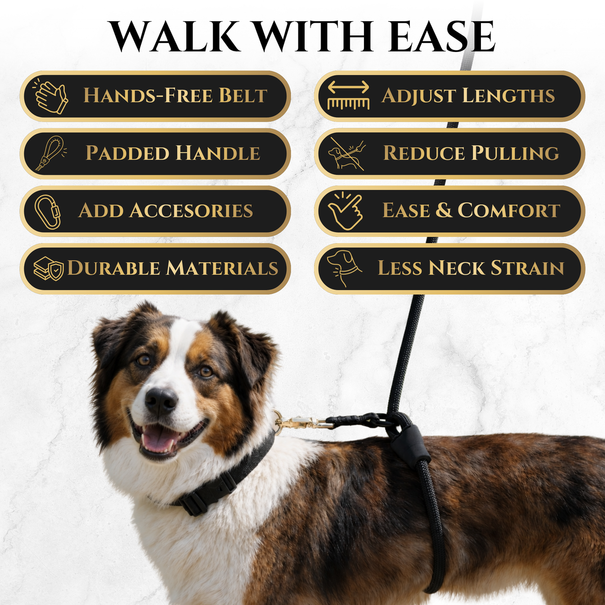 Calm Command No-Pull Leash