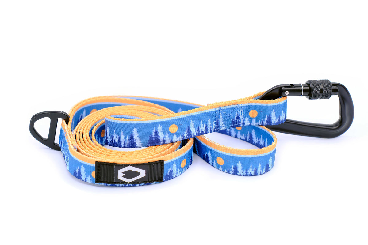 Nylon Dog Leash