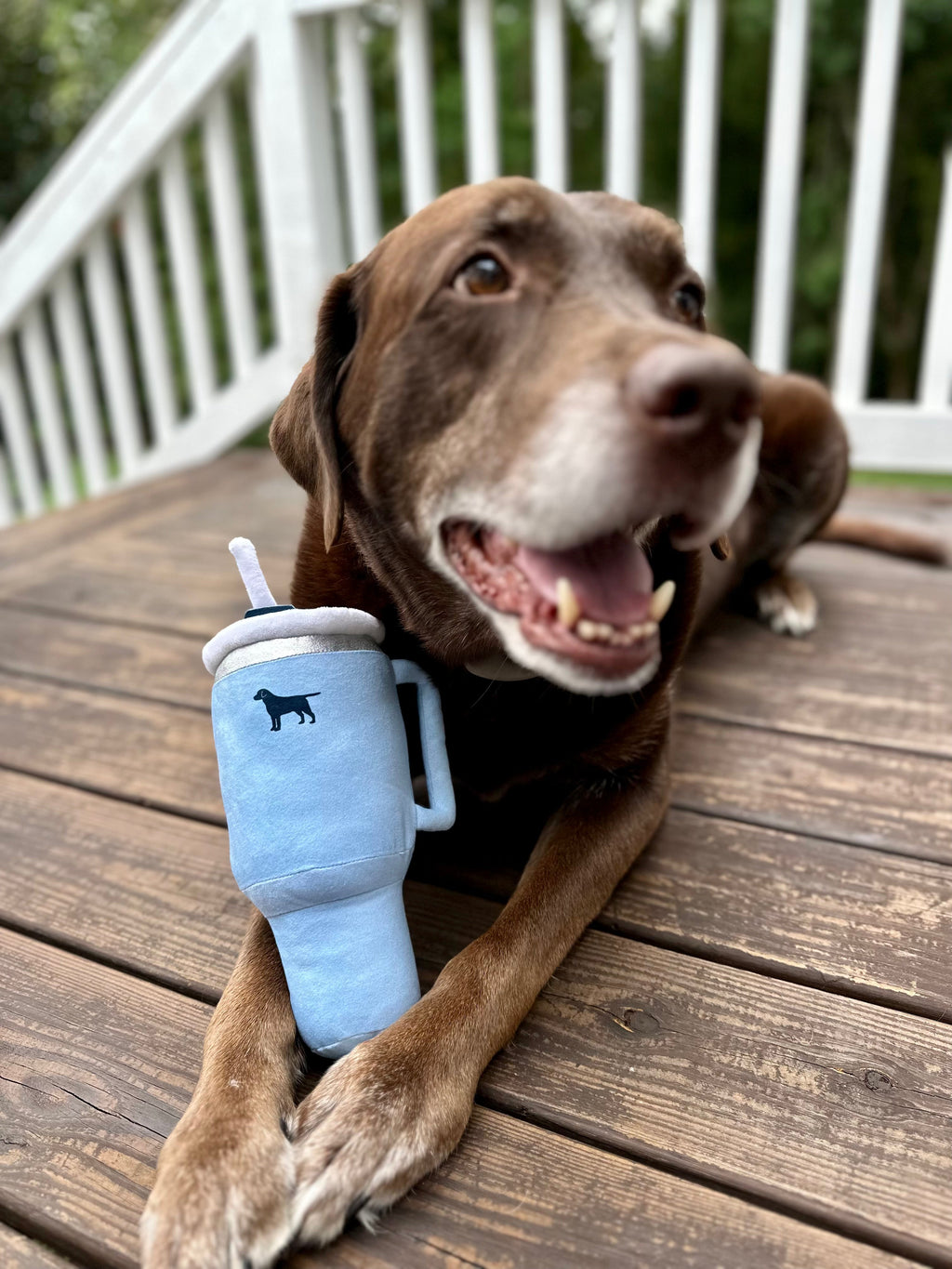 PUPROAR Pup Cup Dog Toy
