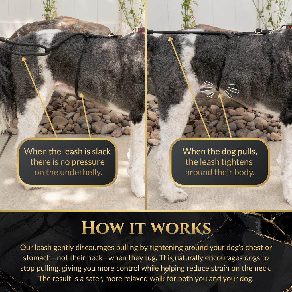 Calm Command No-Pull Leash