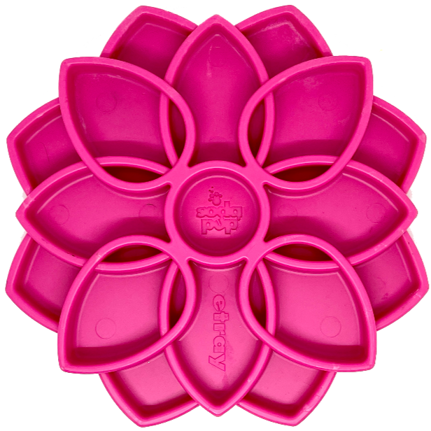 Shallow Slow Feeder Dog Bowl