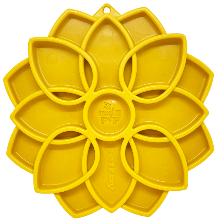 Shallow Slow Feeder Dog Bowl