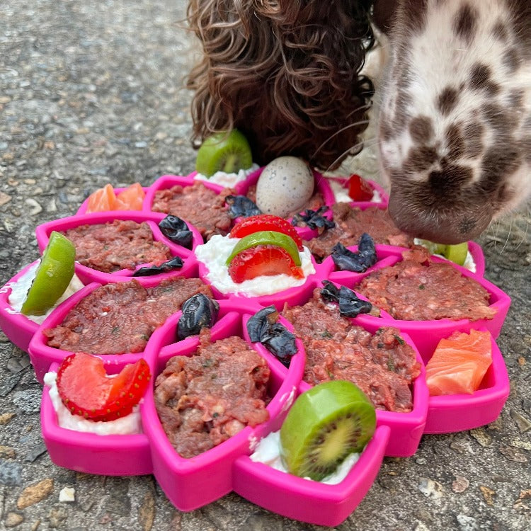 Shallow Slow Feeder Dog Bowl
