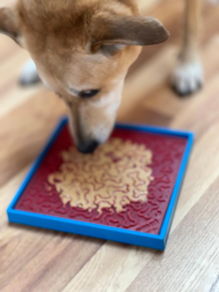 Suction Cup Holder Bowls & Lick Mats
