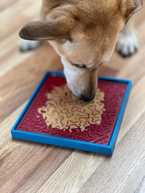 Suction Cup Holder Bowls & Lick Mats