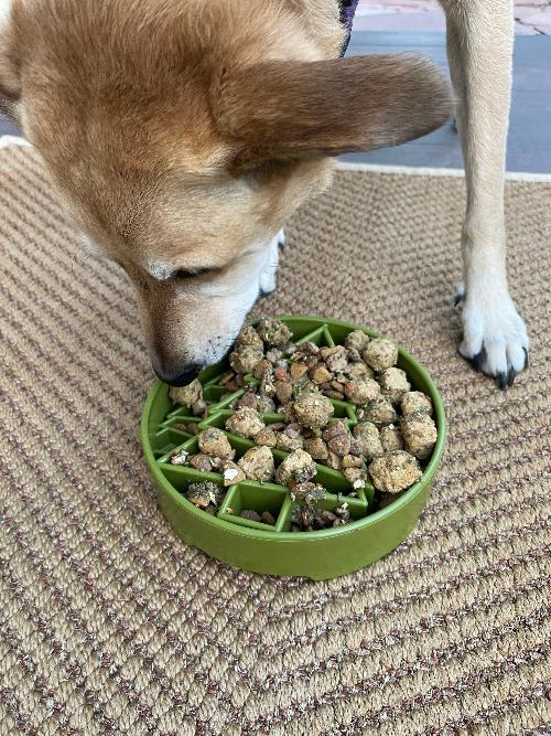 Pine Tree Christmas eBowl Deep Slow Feeder Dog Bowl for Enrichment | USA Made