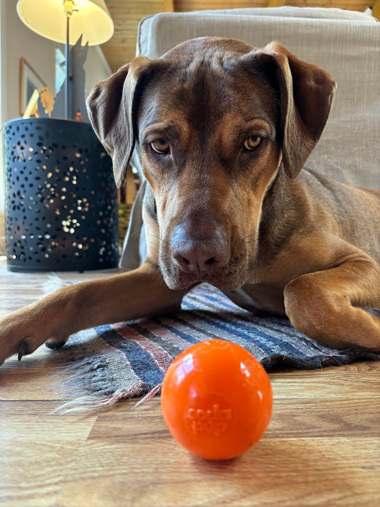 Squeak Ball - Durable