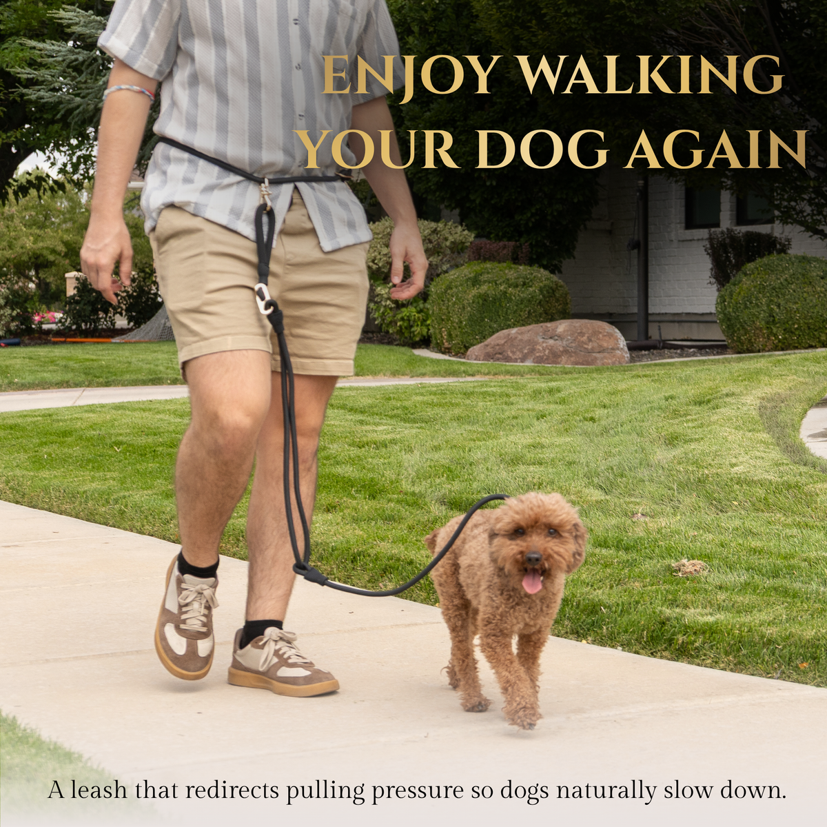 Calm Command No-Pull Leash