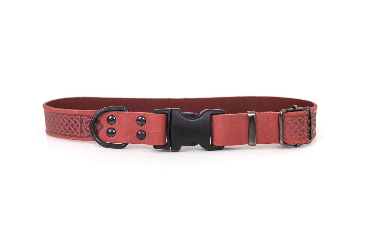 Quick-Release Leather Collar