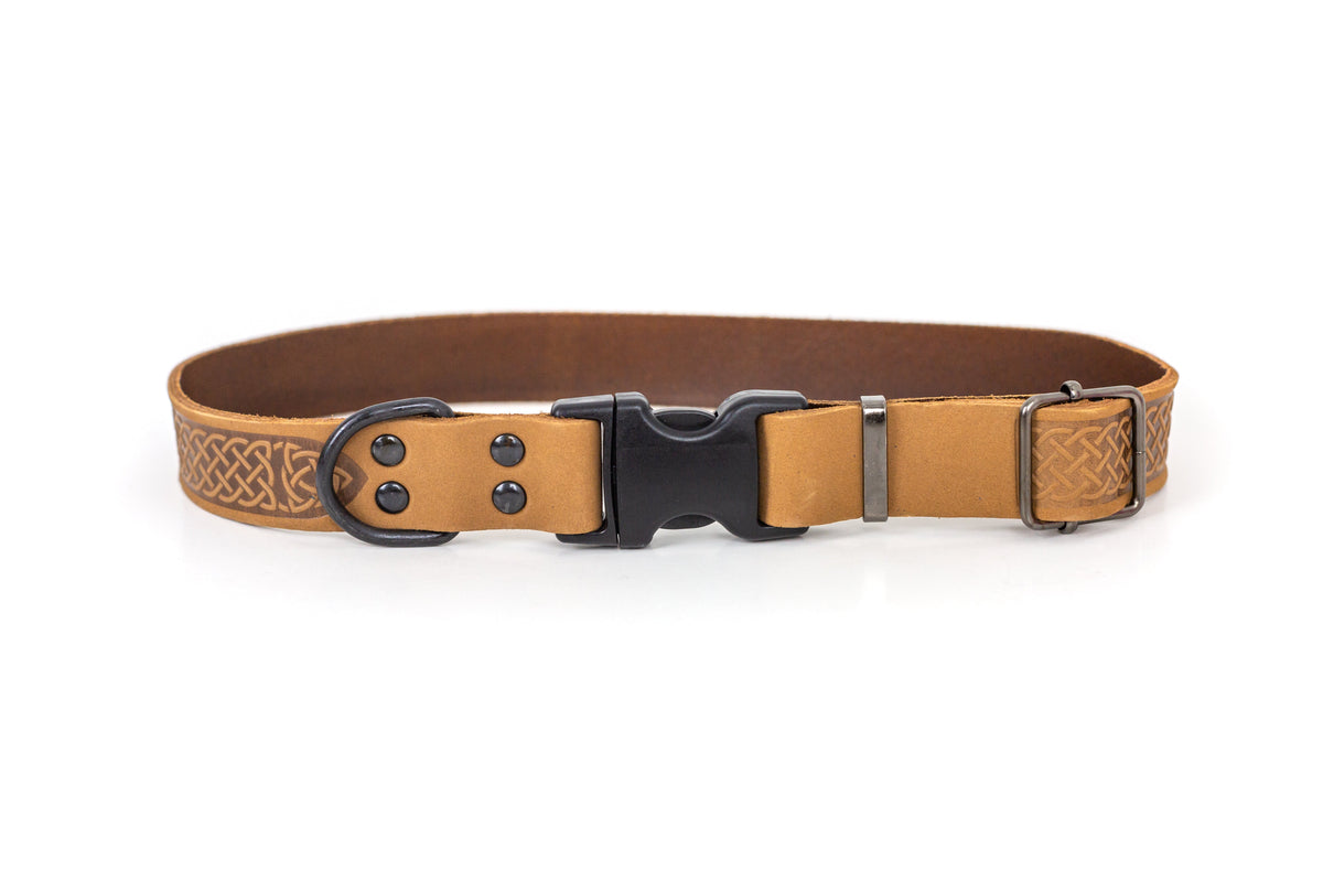 Quick-Release Leather Collar