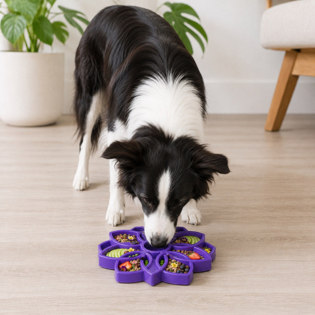 Shallow Slow Feeder Dog Bowl